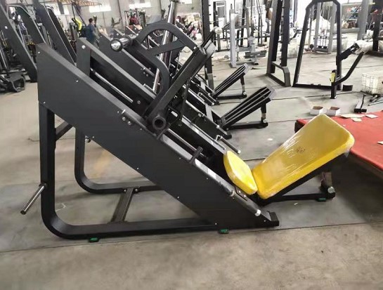 HOLLAND-PRO FIT GYM 300 SQM (7)_9BN0C2Yc.jpg